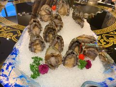 大连活鲍鱼-虾佬圣汤