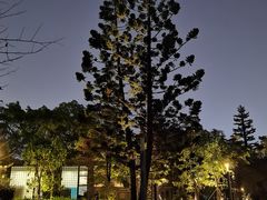 -四海公园(南山区)