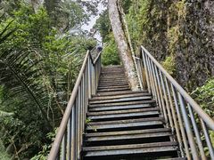 -七仙岭温泉国家森林公园