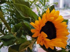 -鹿岛会员店 (龙湖三千集天街店)