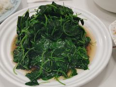 -海金滋(陕西南路店)
