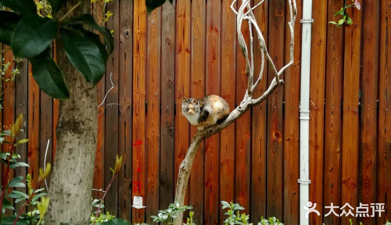 阳光明媚的日子，在小区里抬头看看蓝天白云
