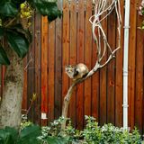 阳光明媚的日子，在小区里抬头看看蓝天白云