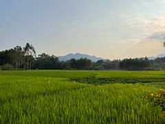 -清远鱼水旅游风景度假区