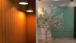 -小鬼当佳儿童摄影(回龙观店)