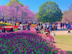 -凤凰沟景区