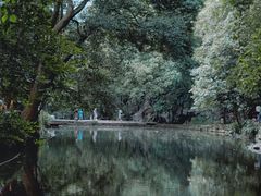 -灵隐飞来峰景区