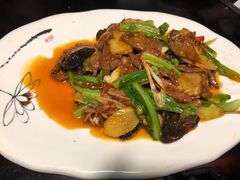 -陈麻婆豆腐总店