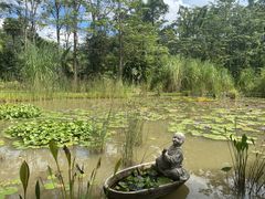 -中国科学院西双版纳热带植物园