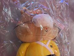 -南锣肥猫·麻辣烤鱼·15年现烤现卖(通州领展店)