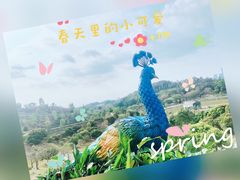 -东莞植物园