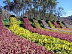 -广州市石门国家森林公园