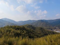 -宁波浙东大竹海景区
