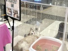 -丽达购物中心(崂山店)