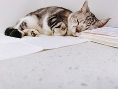 -金豆角砂锅焖面(安贞店)