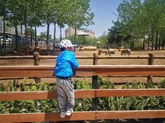 -大连森林动物园