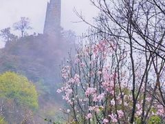 -九皇山景区
