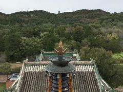-磬锤峰森林公园