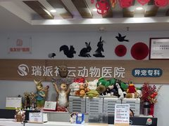 -瑞派·关忠动物医院猫科外科·异宠·24小时转诊中心(祥云店)