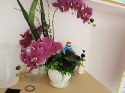 -薇兰专业脱毛连锁机构