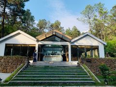 -竹上云想餐厅民宿