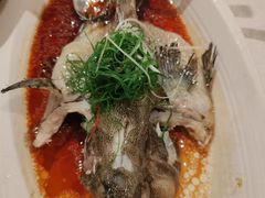 清蒸珍珠斑-南海渔村(珠江新城店)