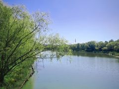 -长春北湖公园