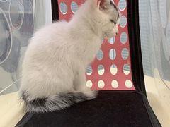 -全心全意连锁动物医院(加州店)