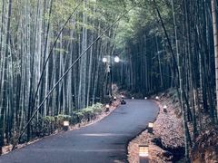 -苏州环秀晓筑养生度假村