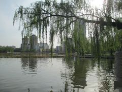 -迎泽公园