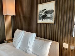 -上海柏悦酒店