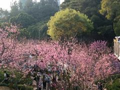 -狐尾山公园