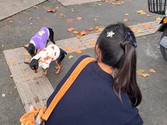 -三百碗宝应长鱼面(板仓街店)