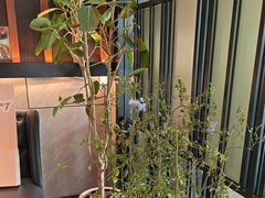 -风渡嘉荷西餐厅 Windy City(西三旗金隅店)