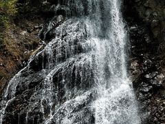 -陕西省红河谷森林公园