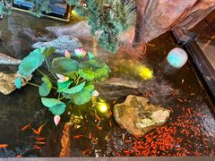 -东海怡品海鲜豆捞(星街坊店)