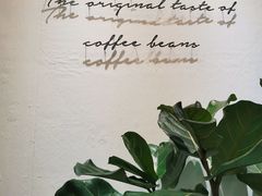 -red donkey coffee