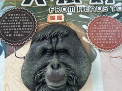 -成都动物园