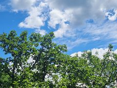 -天津盘山风景名胜区