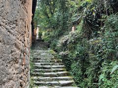 -杨家堂村