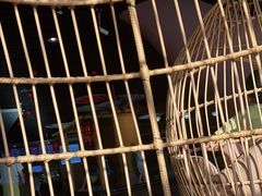 -兴芮温泉度假区