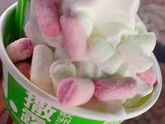 -Salud撒露欧洲冻酸奶(蓝色港湾店)