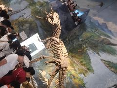 -自贡恐龙博物馆