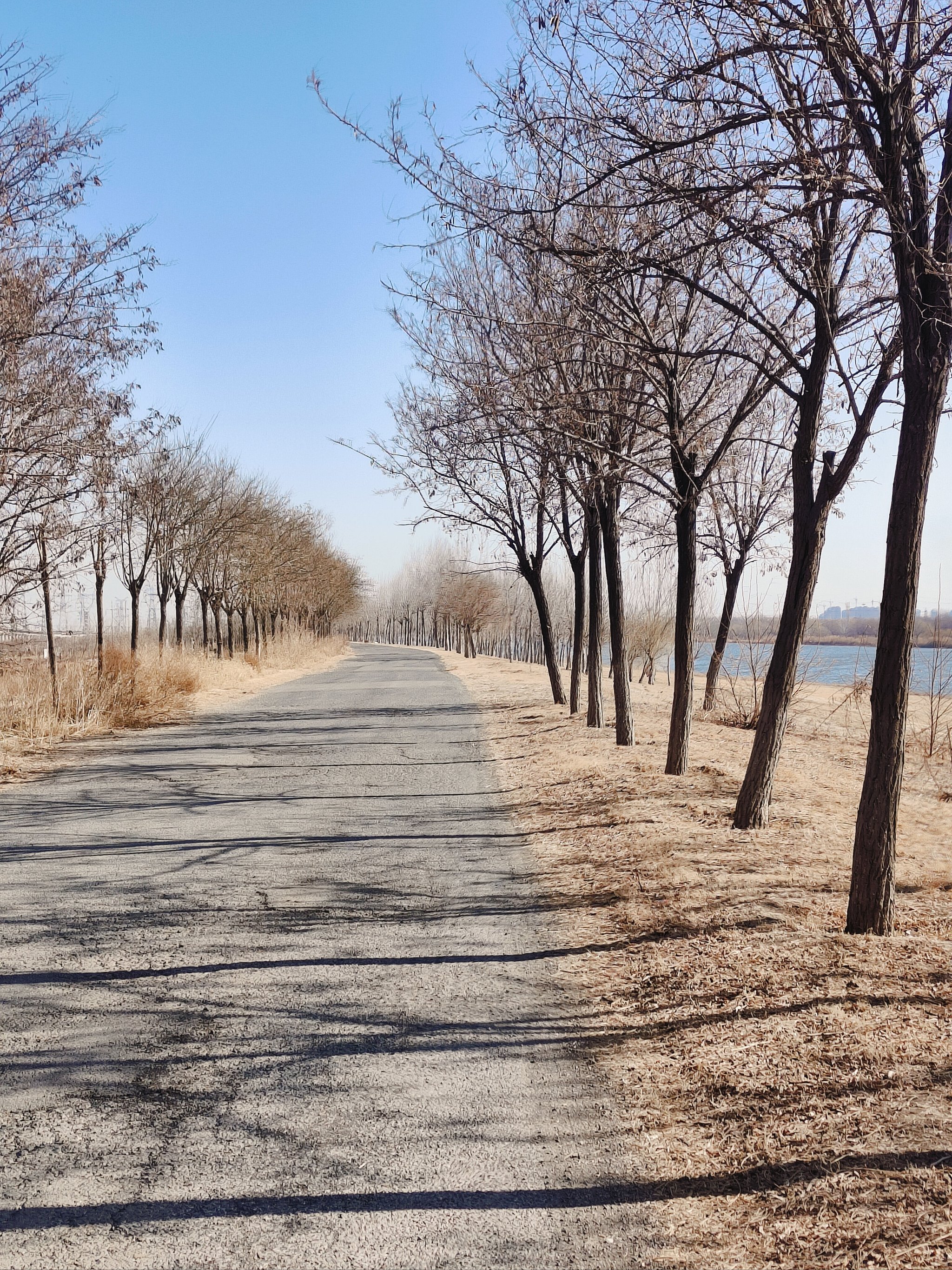 北辰郊野公园跑步图片