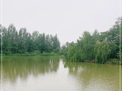 -白鹭湾湿地公园