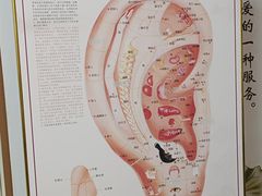 -川耳坊专业采耳馆