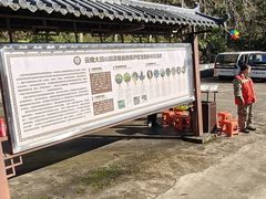 -云南屏边大围山国家公园