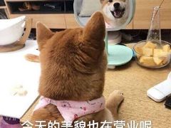 -优衣库(苏州天虹CCMall石路店)
