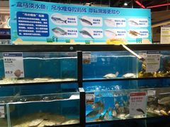 水产区-盒马鲜生(曜一城店)