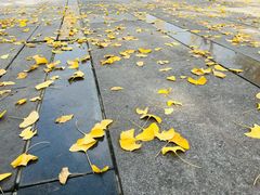 -两江幸福广场